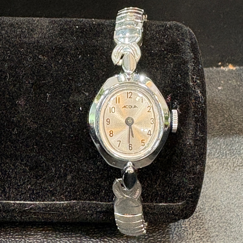 The ACQUA Brand Silver and Gold Women's Watch